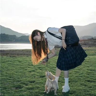 鳄鱼群