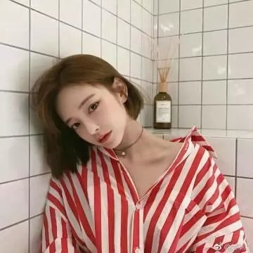 狐狸与我国语